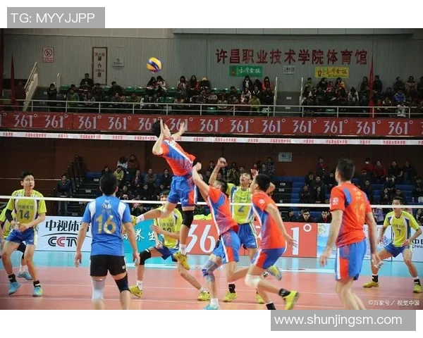 深圳排球队的默契配合与战术分析探讨排球运动的魅力与团队精神