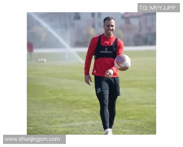 玩出名堂足球明星的成长之路与辉煌成就揭秘